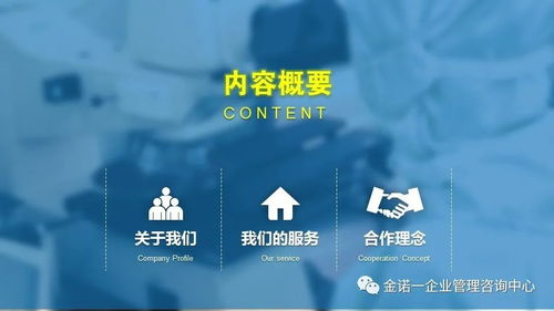 企業(yè)人員管理項(xiàng)目咨詢(xún)與信息技術(shù)咨詢(xún)服務(wù) 金諾一企業(yè)管理咨詢(xún)中心介紹